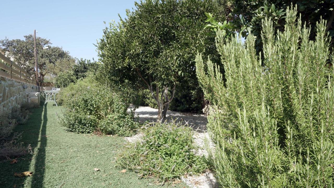 Studio Panagiota - Oasis Holiday Houses كوكينوس بيرغوس المظهر الخارجي الصورة