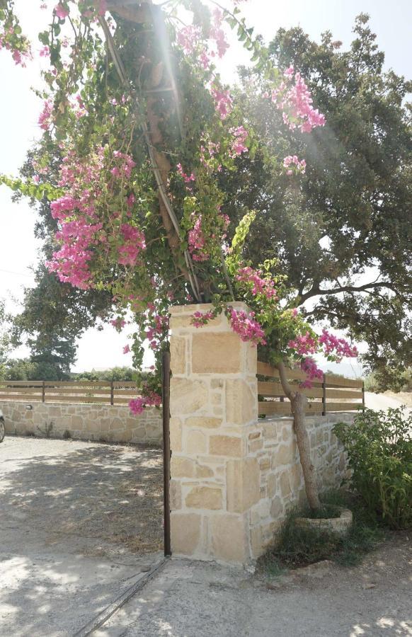 Studio Panagiota - Oasis Holiday Houses كوكينوس بيرغوس المظهر الخارجي الصورة
